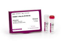 PB10.53-05 PCRBIO 1-Step Go RT-PCR Kit ( 50 rxns )